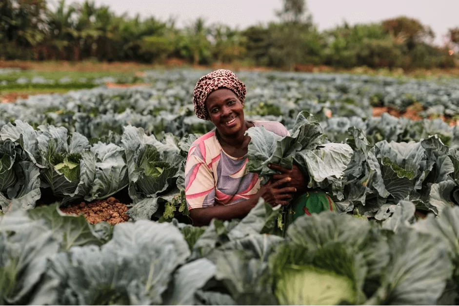 entreprenariat feminin c ivoire.webp